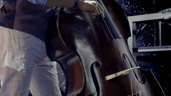 Musician Plays Contrabass — Stock Photo, Image