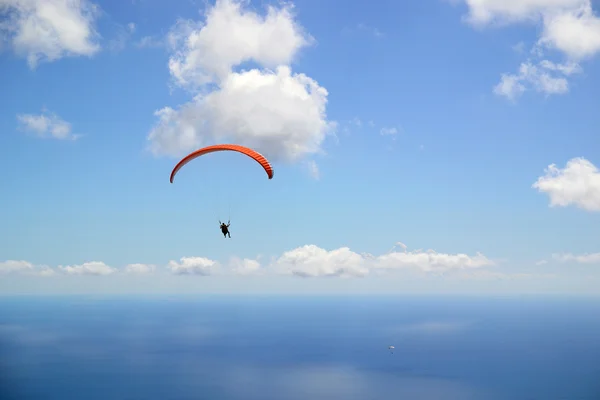 素晴らしい海の景色を望むパラグライダー — ストック写真