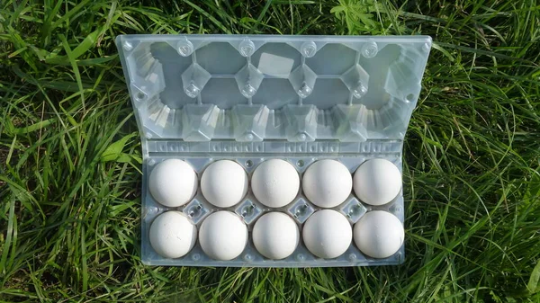 Приобретенные Яйца Коробке Среди Зеленой Травы — стоковое фото