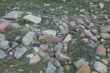 Taşlar kurumuş bir nehirde yatıyor.