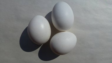 Beyaz arka planda üç yumurta.