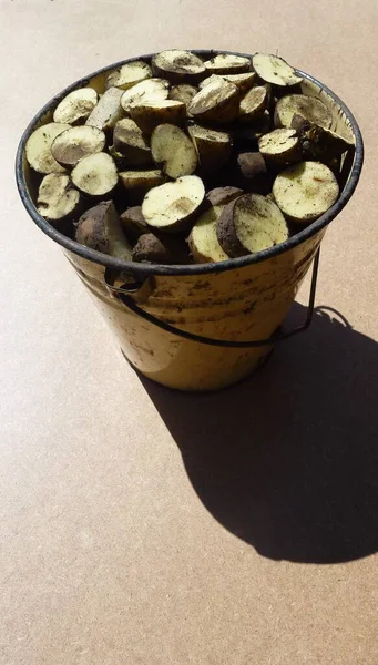 Cubo Amarillo Papas Deliciosas Rodajas —  Fotos de Stock