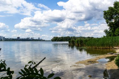 Geniş bir nehir boyunca geniş bir şehir, karşı kıyıdaki yüksek binalar, kumlu sahil, algler, sazlıklar, büyük beyaz bulutlar, mavi gökyüzü, yansıma, ağaç dalları.
