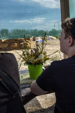 Koyu renk saçlı gençler ahşap masada oturuyorlar, açık ahşap çardak, bir buket kurutulmuş çiçek, sarı cilt bakımı, kır çiçekleri, doğa, dikiz aynası, konferans dinliyorlar, bir grup çocuk, eğlence, saman yığını.