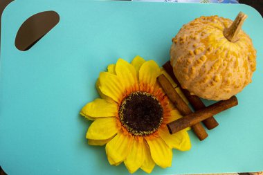 Engebeli desenli küçük balkabağı, yapay çiçek, ayçiçeği, dekoratif çeşitlilik, sarı yapraklar, koyu çekirdek, üç tarçın çubuğu, parlak mavi turkuaz yüzey