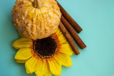 Engebeli desenli küçük balkabağı, yapay çiçek, ayçiçeği, dekoratif çeşitlilik, sarı yapraklar, koyu çekirdek, üç tarçın çubuğu, parlak mavi turkuaz yüzey