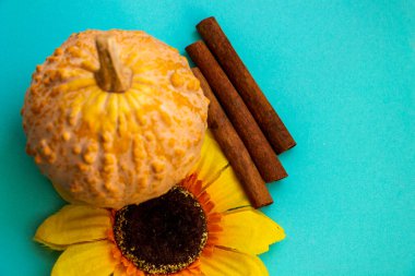 Engebeli desenli küçük balkabağı, yapay çiçek, ayçiçeği, dekoratif çeşitlilik, sarı yapraklar, koyu çekirdek, üç tarçın çubuğu, parlak mavi turkuaz yüzey