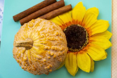 Engebeli desenli küçük balkabağı, yapay çiçek, ayçiçeği, dekoratif çeşitlilik, sarı yapraklar, koyu çekirdek, üç tarçın çubuğu, parlak mavi turkuaz yüzey