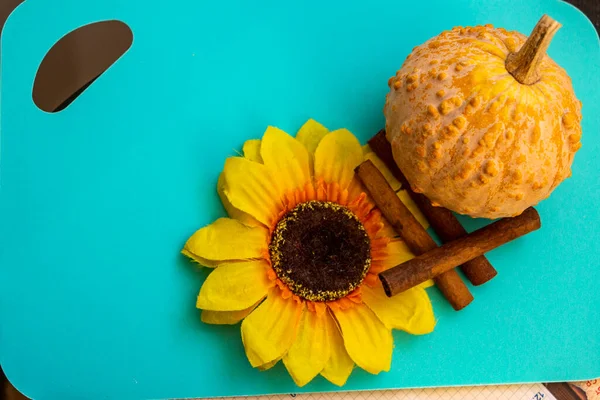 Engebeli desenli küçük balkabağı, yapay çiçek, ayçiçeği, dekoratif çeşitlilik, sarı yapraklar, koyu çekirdek, üç tarçın çubuğu, parlak mavi turkuaz yüzey