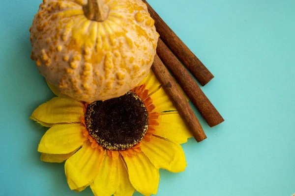 Engebeli desenli küçük balkabağı, yapay çiçek, ayçiçeği, dekoratif çeşitlilik, sarı yapraklar, koyu çekirdek, üç tarçın çubuğu, parlak mavi turkuaz yüzey