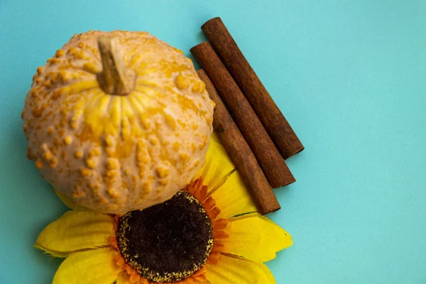 Engebeli desenli küçük balkabağı, yapay çiçek, ayçiçeği, dekoratif çeşitlilik, sarı yapraklar, koyu çekirdek, üç tarçın çubuğu, parlak mavi turkuaz yüzey