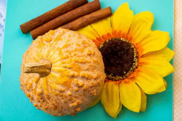 Engebeli desenli küçük balkabağı, yapay çiçek, ayçiçeği, dekoratif çeşitlilik, sarı yapraklar, koyu çekirdek, üç tarçın çubuğu, parlak mavi turkuaz yüzey