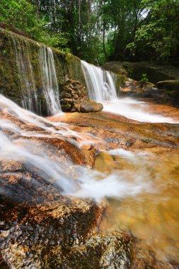 Şelale yağmur ormanı Malezya.