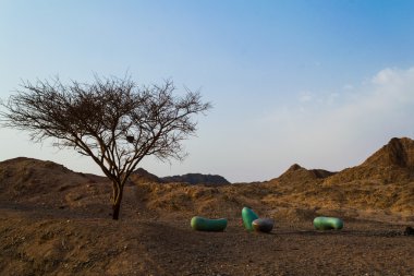 Akasya tortilis, Necef