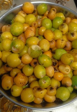 ameixas. Meyve sitriksi sarısı