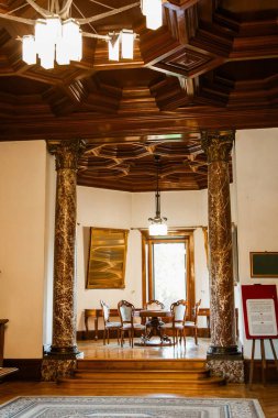 Mosna Kalesi 'nin içi, tarihi bir saray, Polonya' nın en ünlü simgelerinden biri. Muhteşem mimari, detaylı ahşap işçiliği ve zarif tasarımı, aristokratik konutların ihtişamı..