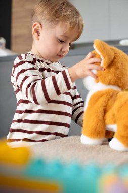 Neşeli küçük bir çocuk evde peluş bir oyuncak köpekle oynuyor. Çocuk gülümsüyor ve yaratıcı oyunlar oynuyor. Duygularını ve merakını ifade ediyor. Kapalı alan atmosferi. 
