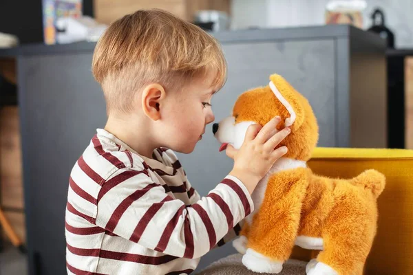 Neşeli küçük bir çocuk evde peluş bir oyuncak köpekle oynuyor. Çocuk gülümsüyor ve yaratıcı oyunlar oynuyor. Duygularını ve merakını ifade ediyor. Kapalı alan atmosferi. 