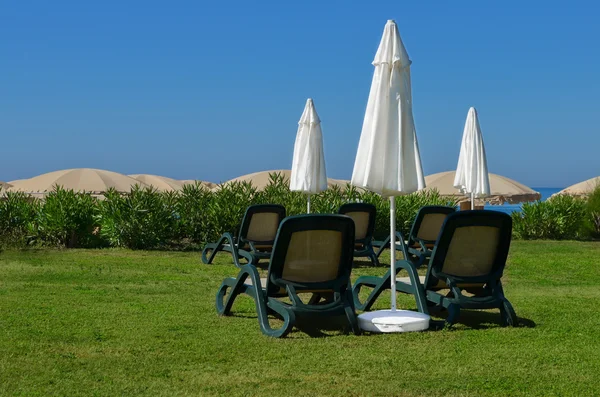 Sedie a sdraio e ombrelloni sull'erba al mare — Foto Stock