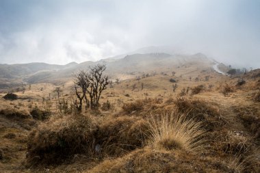 Tonglu 'nun kış gölgeleri, Sandakphu' ya giden Himalaya köyü.