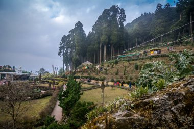 Lamahatta, Darjeeling, Batı Bengal, Hindistan: 24 Ocak 2021 - Çam ormanlarının yeşilliğinin ve dağ manzarasının tadını çıkarmak için Lamahatta Eco Park 'a giren insanlar. Kanchenjunga