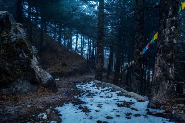 A spooky road with patches of ice goes though pine forest of Sandakphu on a dark winter afternoon
