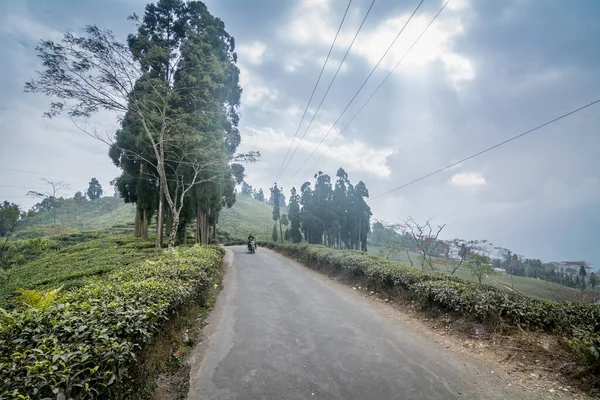 Darjeeling Batı Bengal Hindistan Ocak 2021 Darjeeling Dolambaçlı Yolunda Yemyeşil — Stok fotoğraf