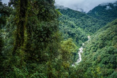 Sikkim 'in ünlü Goechala yürüyüşü sırasında dağ ve nehrin havadan görünüşü