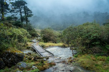 Kokchurang 'daki Sikkim' in Prek Chu nehrine bağlanan küçük tahta bir köprü. Sisli ve sisli bir hava bize bu harika manzarayı verir..