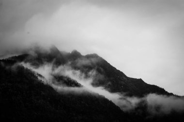 Batı Sikkim, Hindistan 'ın dağ yamaçlarında sigara içen bulutlar.