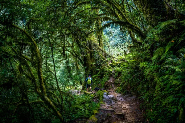 A man hiking with a dog through the lush green jungle of Kanchenjunga National Forest