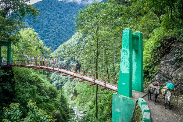 Yuksom Dan Sachen Pha Khola Üzerinden Giden Ilk Köprü Köprüye — Stok fotoğraf