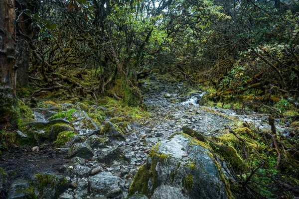 石キムの朱プリク川の横にあるKochurangの緑豊かな地形を横断する岩の歩道 — ストック写真