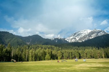Pahalgam 'a sadece birkaç kilometre uzaklıktaki Baisaran Vadisi' ndeki yemyeşil çayırlar ve çam ormanları. Kaşmir 'in bu eşsiz güzelliğine Hindistan' ın Mini İsviçre 'si de denir..