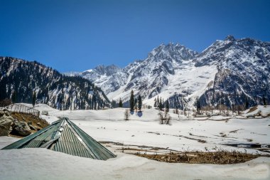 Kar Sonmarg 'ı güneşli bir sabahta açık bir gökyüzüyle kapladı.