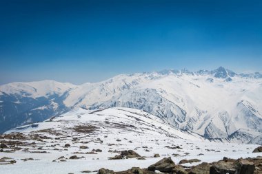 Lale Bahçesi, Srinagar, Hindistan: 31 Mart 2018 - Turistler güneşli bir ilkbahar öğleden sonrasında çiçek açmış lale çiçeklerinin harika manzarasının keyfini çıkarıyorlar