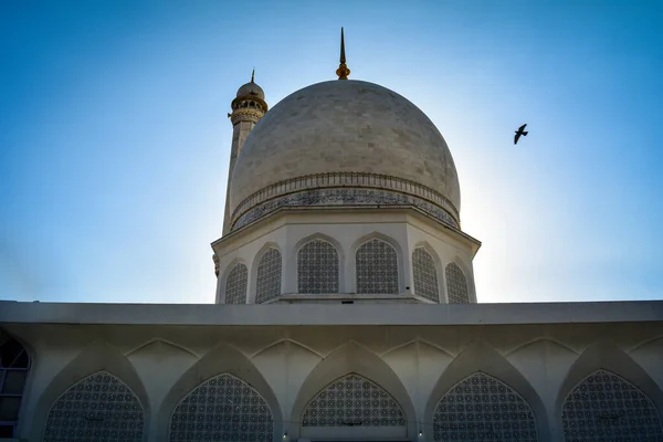 Tulpanträdgård Srinagar Indien Mars 2018 Turister Njuter Underbar Utsikt Över — Stockfoto