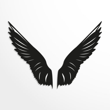 Kuşların kanatları. Vektör çizim. Siyah beyaz görünümü.