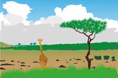 Savannah illustration. Background