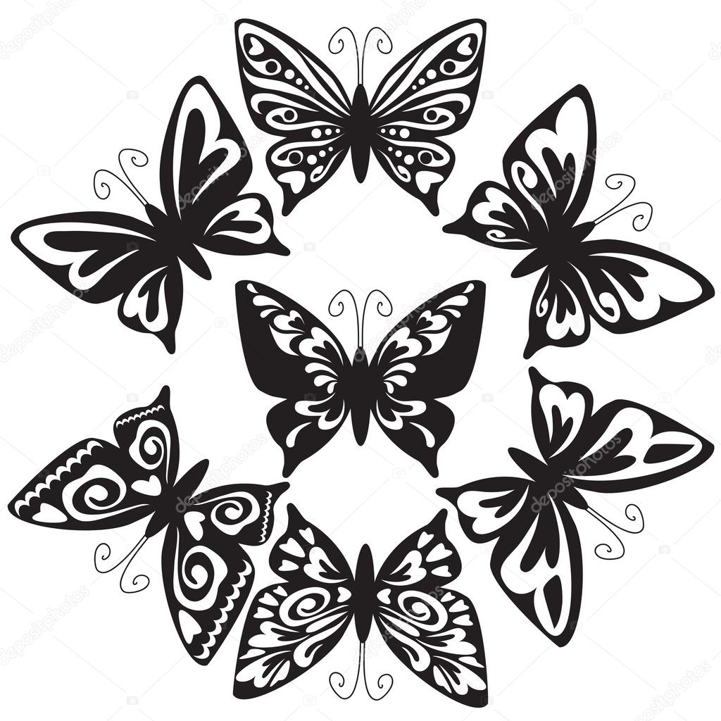 Butterfly vector cartoon illustration