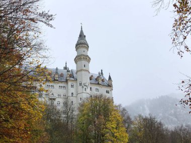 Neuschwanstein Şatosu 'nun sonbaharda muhteşem bir fotoğrafı..