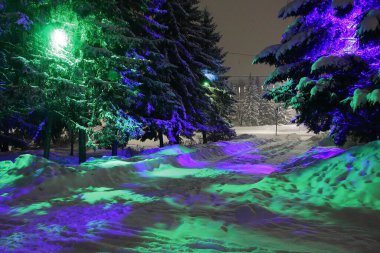 Şehir parkına kar yağdı.