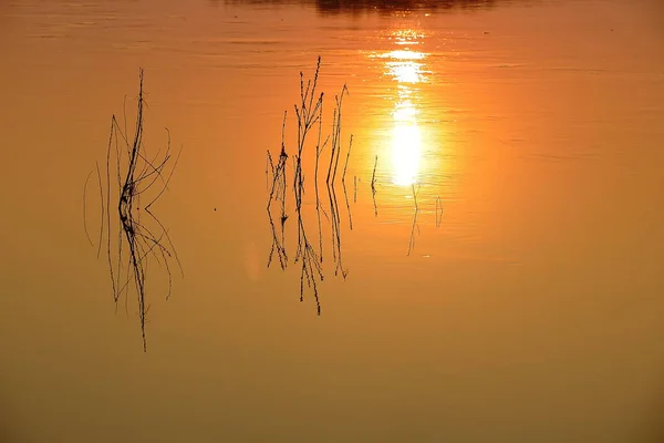 Sonnenuntergang Auf Dem Fluss — Stockfoto