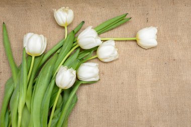 Paskalya yumurtası ve çiçekleri