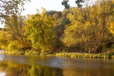 Humber River 'ın sonbahar sezonunda manzara manzarası, Toronto, Ontario, Kanada