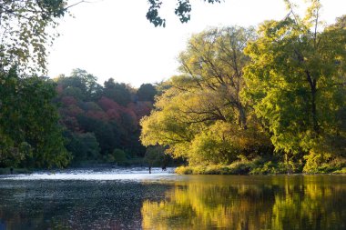 Humber River 'ın sonbahar sezonunda manzara manzarası, Toronto, Ontario, Kanada