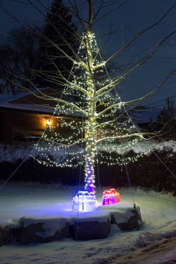 Toronto, ON, Kanada 25 Aralık 2020 - Toronto 'da Noel için ışıklandırılmış ev