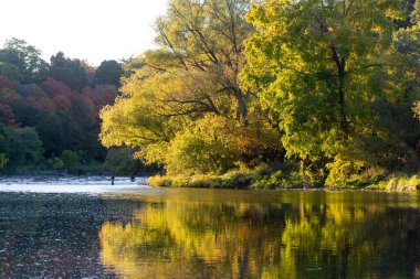 Humber River 'ın sonbahar sezonunda manzara manzarası, Toronto, Ontario, Kanada