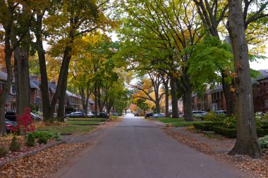 Bahçesinde sonbahar yaprakları olan küçük taş bir evin ön tarafı..