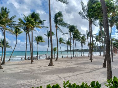 Playa del Carmen, Quintana Roo, Meksika - 20 Kasım 2024: Sonbahar sezonunda Barcelo Maya Oteli bölgesinde